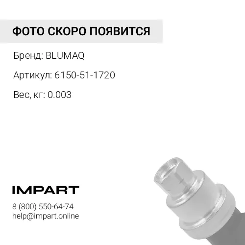 6150-51-1720 Уплотнительное кольцо BLUMAQ