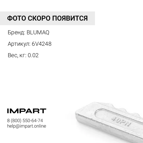 6V4248 Болт