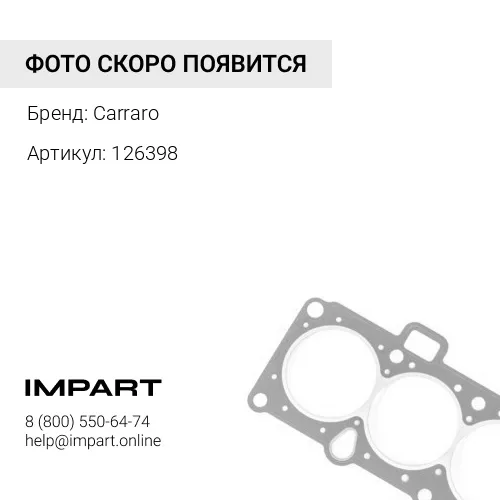126398 Сальник полуоси в бортовую 126398 Carraro