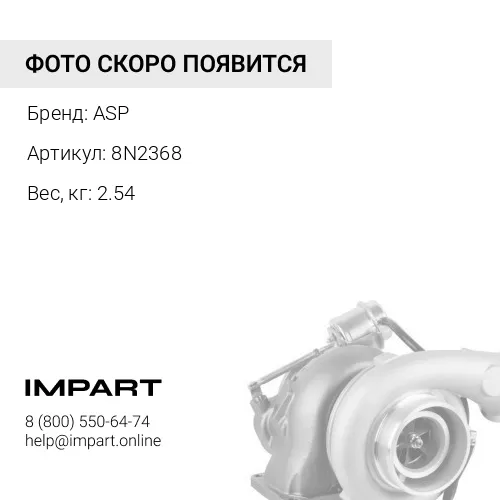 8N2368 Защита ASP
