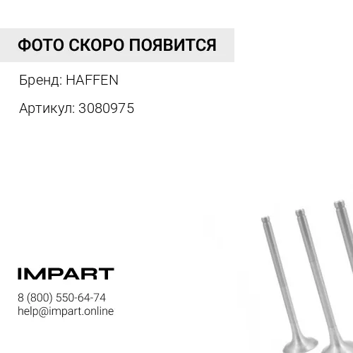 3080975 Клапан впускной QSM ISM M11 4955239