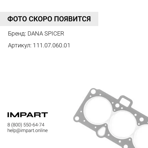 111.07.060.01 Кольцо уплотнительное DANA SPICER
