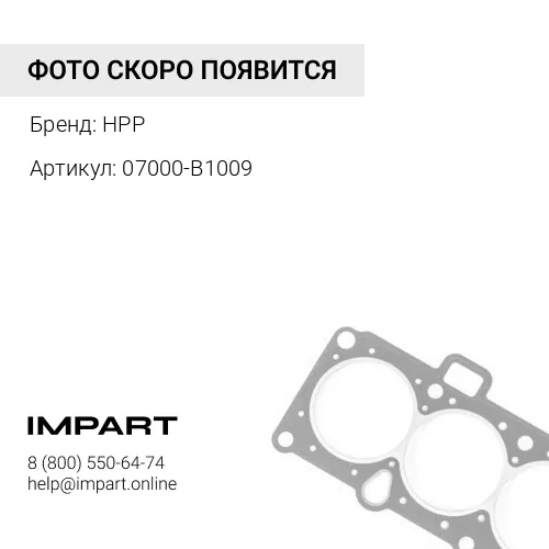 07000-B1009 О-КОЛЬЦО HPP