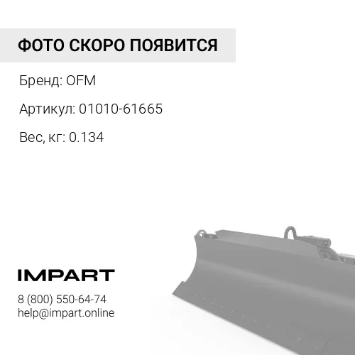 01010-61665 Подшипник OFM
