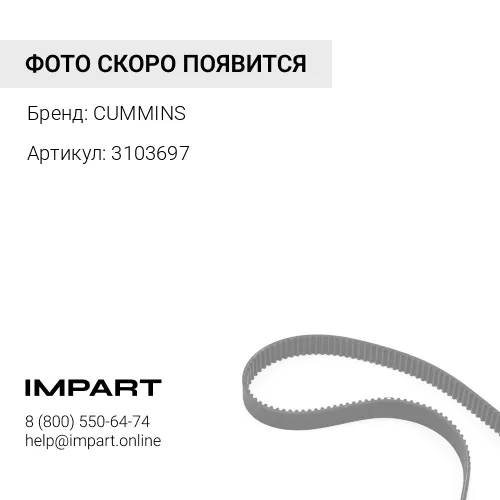 3103697 Приводной ремень вентилятора