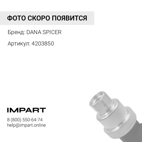 4203850 Насос в сборе DANA 9969040 DANA SPICER
