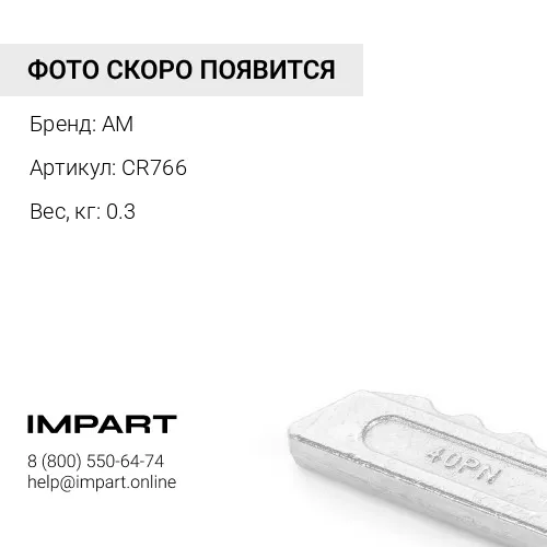 CR766 Шайба