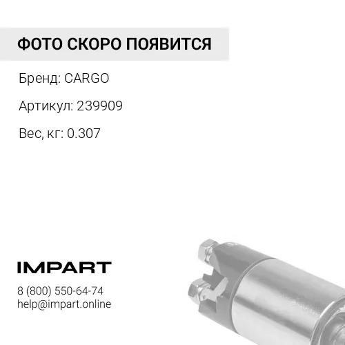 239909 Бендикс 239909