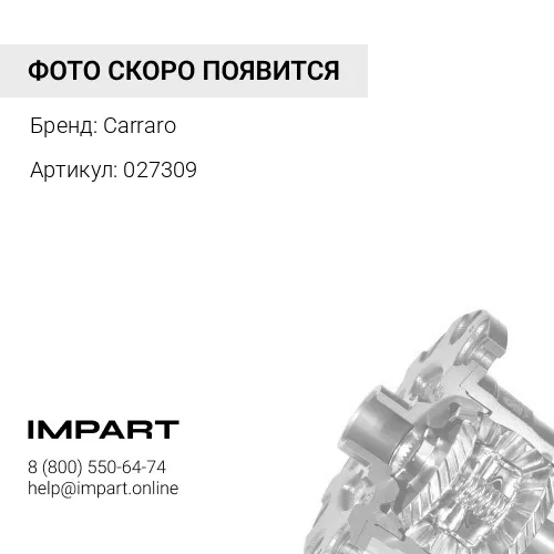 027309 Подшипник дифференциала Carraro