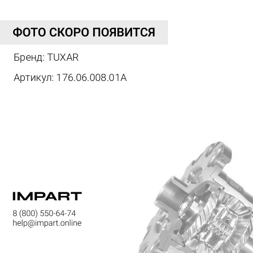 176.06.008.01A Сателлит