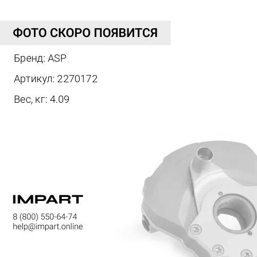 2270172 Подушка ASP