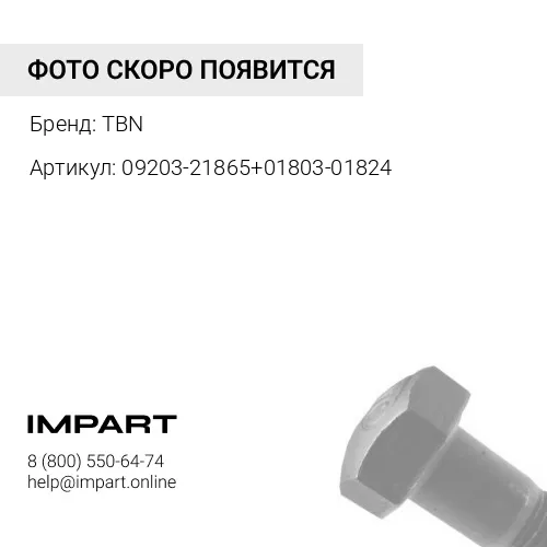 09203-21865+01803-01824 Болт+гайка сегмента M18x60