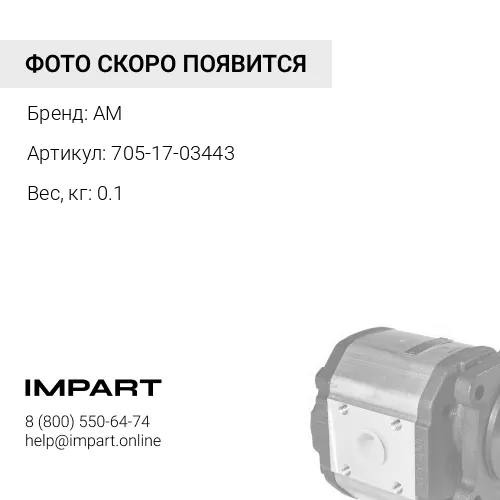 705-17-03443 Уплотнение AM