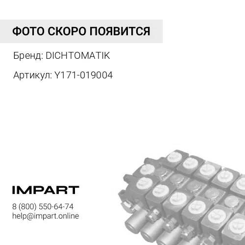 Y171-019004 О-кольца DICHTOMATIK