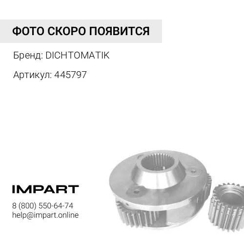 445797 О-кольцо DICHTOMATIK