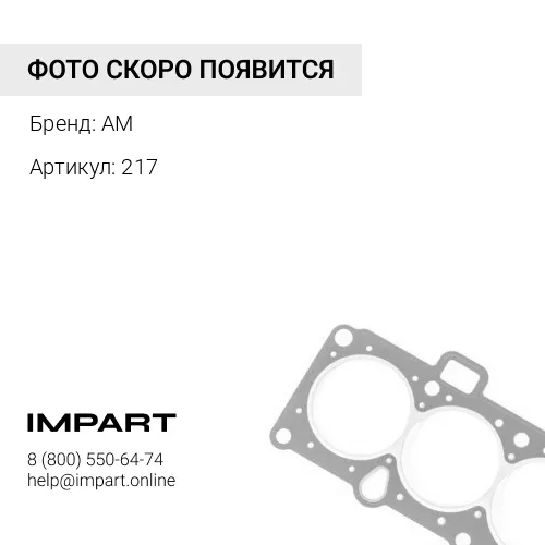 217 Кольцо ф20.5