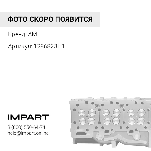 1296823H1 Клапан впускной 6D114E-2 1296823H1