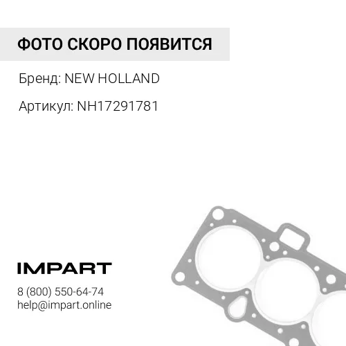NH17291781 NH17291781 Кольцо NEW HOLLAND