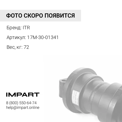17M-30-01341 Каток поддерживающий ITR