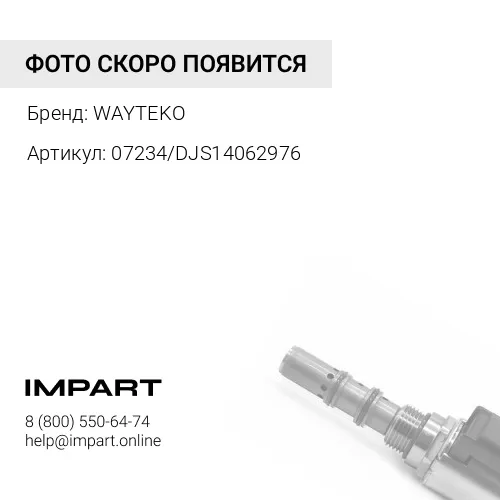 07234/DJS14062976 Клапан импульсный WAYTEKO