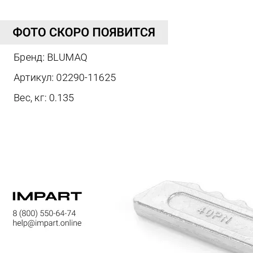 02290-11625 Гайка BLUMAQ