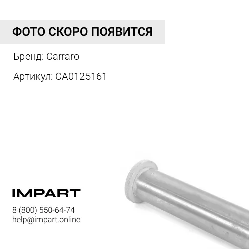 CA0125161 Втулка Carraro