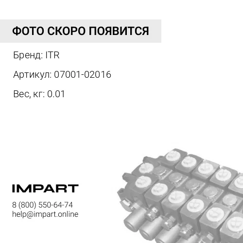 07001-02016 Уплотнительное кольцо ITR
