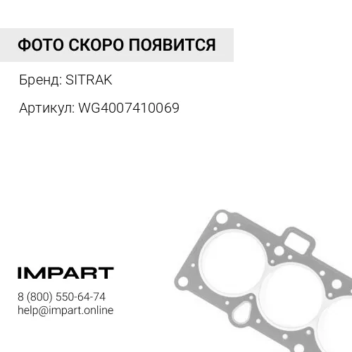 WG4007410069 Уплотнительное кольцо 623 SITRAK
