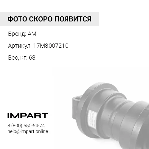 17M3007210 Каток поддерживающий
