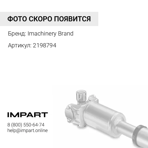 2198794 Крестовина