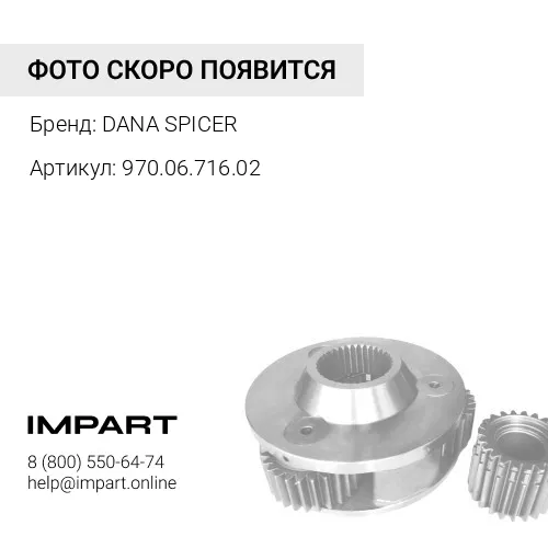 970.06.716.02 Комплект втулки DANA DANA SPICER