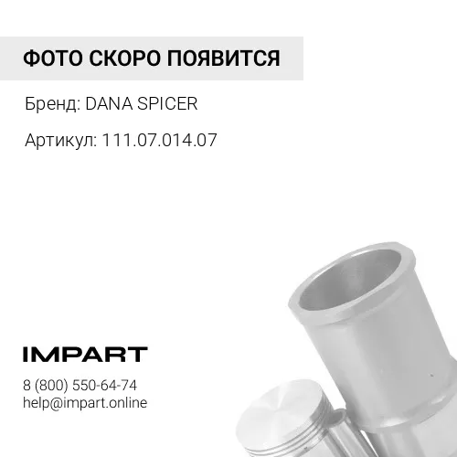 111.07.014.07 Поршень DANA SPICER