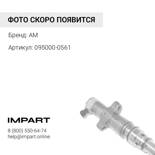 095000-0561 Форсунка