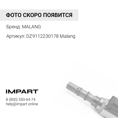 DZ9112230178 Malang ПГУ D=102 SHAANXI корзина 430 (С КЛАПАНОМ) ВЫХОД НАЗАД (DZ9112230178) Malang