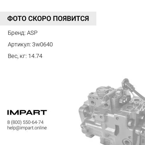 3w0640 Поршень натяжителя ASP