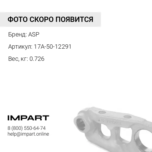17A-50-12291 Сальник ASP