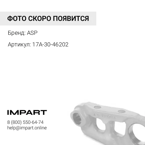 17A-30-46202 Палец 17A-30-46202 картриджный ASP