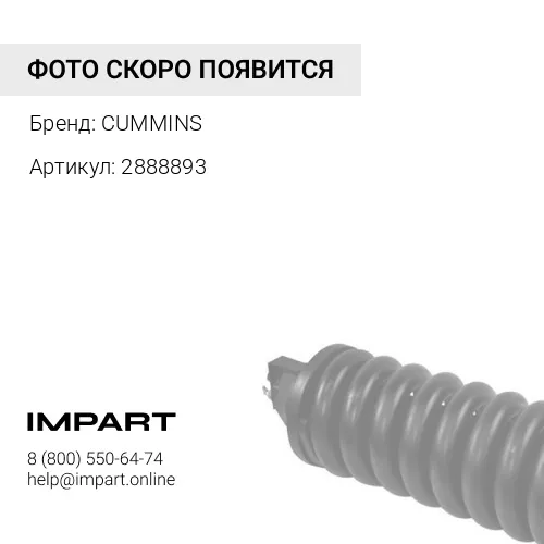 2888893 Натяжитель ремня