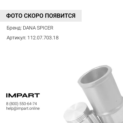 112.07.703.18 Кит набор DANA 112.07.703.14, 112.07.703.04 DANA SPICER