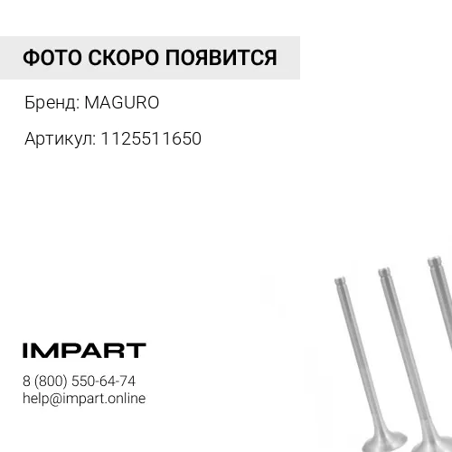 1125511650 клапан впускной MAGURO