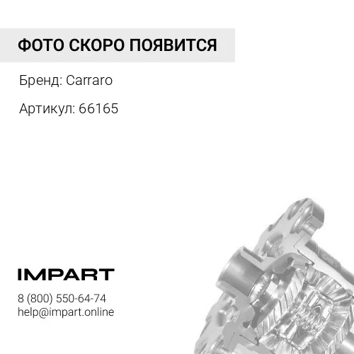 66165 Ремкомплект дифференциала (комплект)(сателлиты,оси,шайбы) Carraro