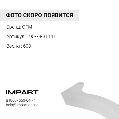 195-79-31141 Стойка рыхлителя