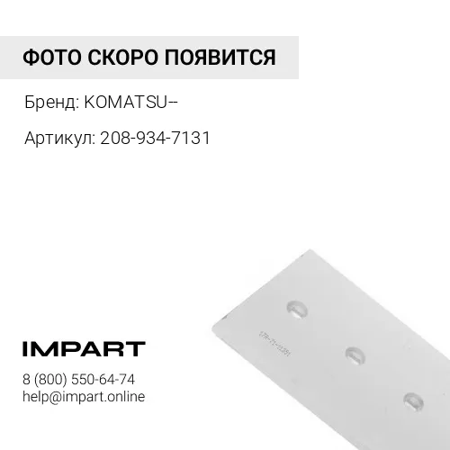 208-934-7131 208-934-7131 ЗАЩИТА
