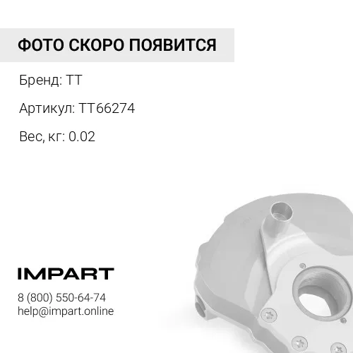 TT66274 Демпфер редуктора