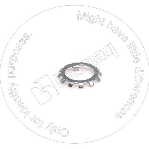 0165813923 OR ШАЙБА