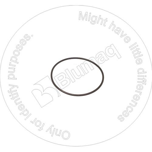 1240948H1 OR УПЛОТНИТЕЛЬНОЕ КОЛЬЦО